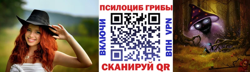 Галлюциногенные грибы Psilocybine cubensis  хочу   Ликино-Дулёво 